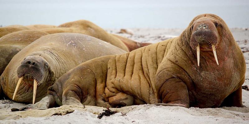 从门禁系统到数据长城：DLP技术选型与安防工程部署要点详解