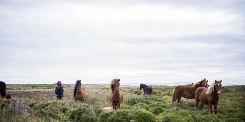 安全防护7：构建以门禁与监控为核心的长征保卫体系
