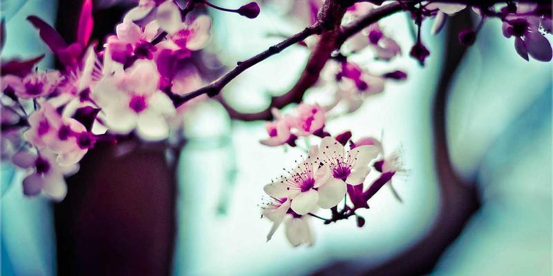 安全防护89：现代安防工程与监控系统如何筑牢长征保卫级防线