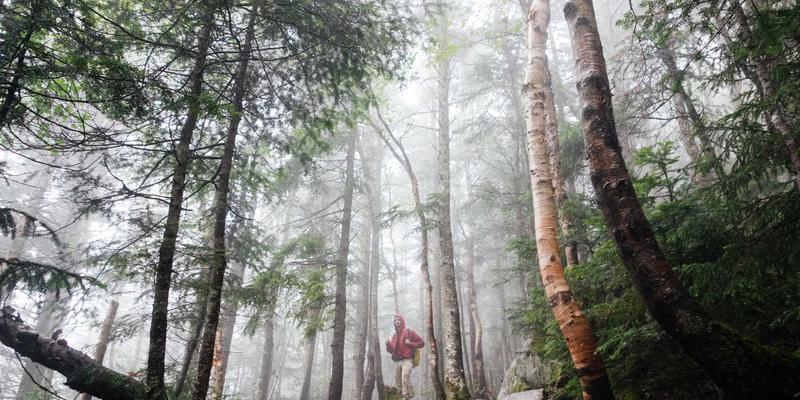 构筑智慧防线：安全防护、门禁系统与监控系统的三位一体解决方案