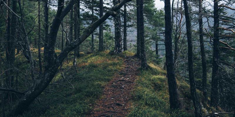 长征保卫：构建坚不可摧的APT监控系统与安防工程实战解析