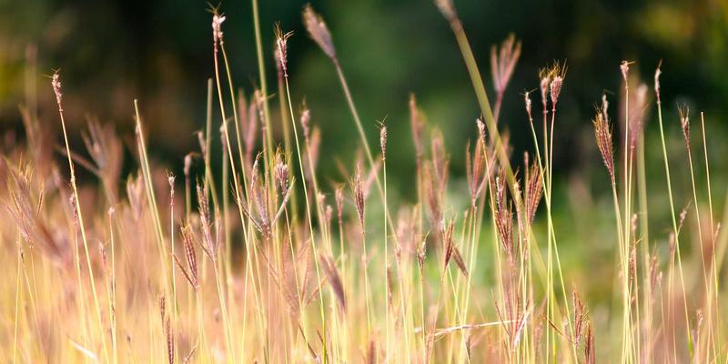 长征保卫：零信任架构下EDR与自适应微隔离的联动报警系统